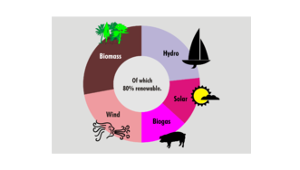 Doghnut chart